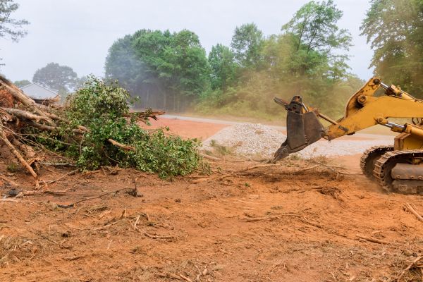 Cost of Ground Clearing in Sanford