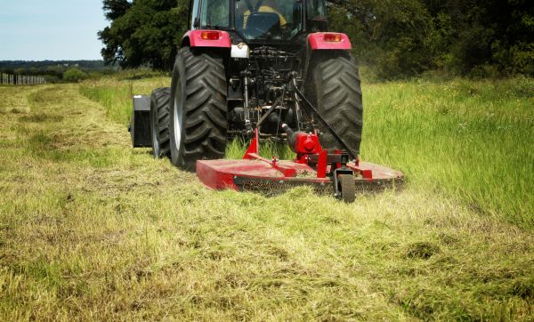 Cost of Brush Clearing Service in Sanford