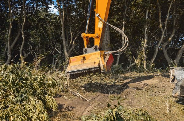 Cost of Brush Removal Service in Sanford