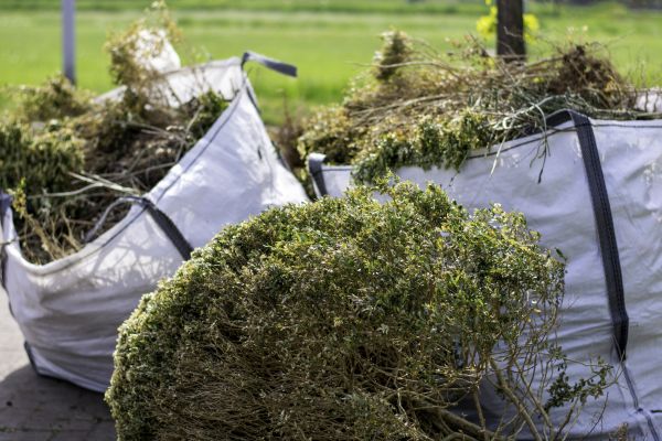 Cost of Bushes Clearing in Sanford