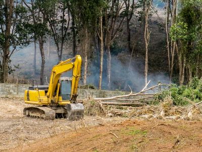 Skilled Land Clearing Operators